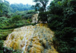 FULL DAY - TREKKING FOREST - Gambar 5