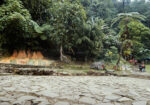 FULL DAY - TREKKING FOREST - Gambar 12