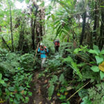 Pendakian Gunung Slamet Jalur Baturraden