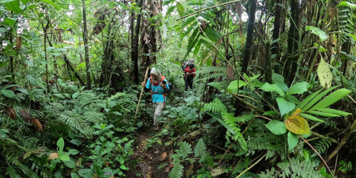 Pendakian Gunung Slamet Jalur Baturraden