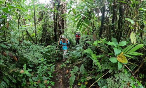 Pendakian Gunung Slamet Jalur Baturraden