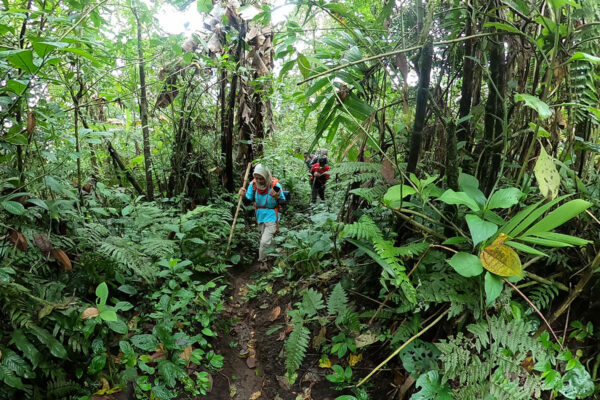 Pendakian Gunung Slamet Jalur Baturraden