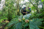 Pendakian Gunung Slamet Jalur Baturraden