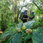 Pendakian Gunung Slamet Jalur Baturraden