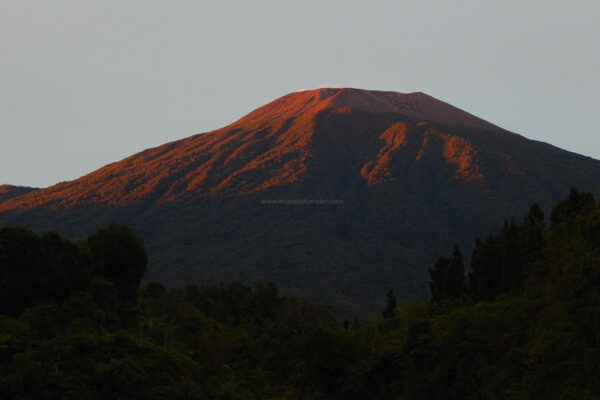 Pendakian Gunung Slamet Jalur Baturraden