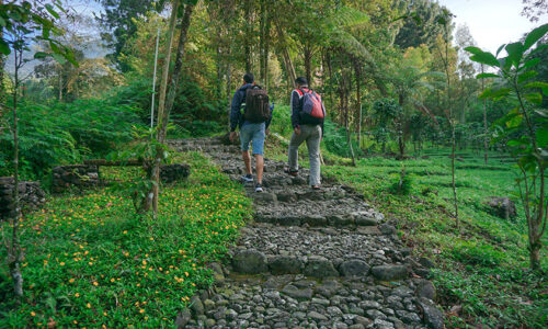 Trekking Hutan Wisata Baturraden