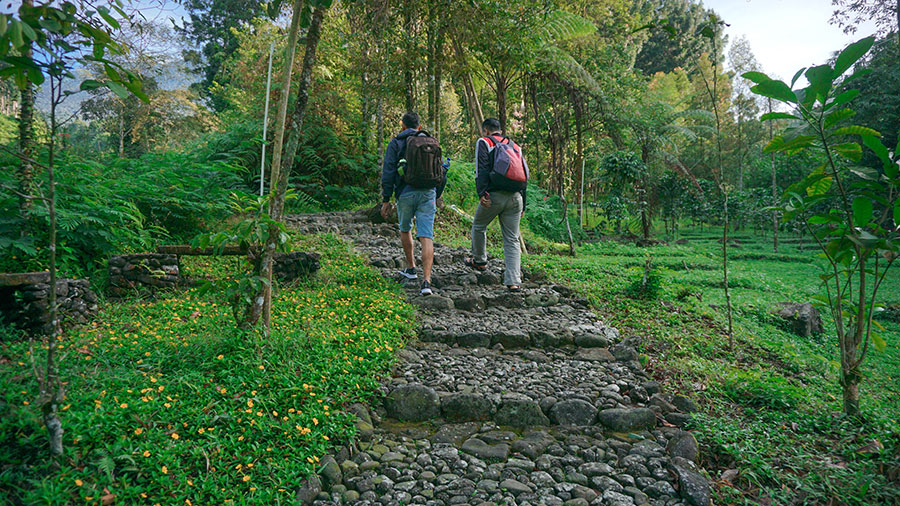 Trekking Hutan Wisata Baturraden