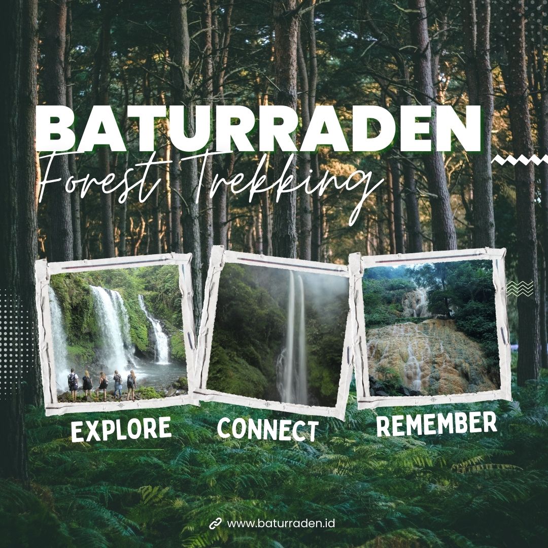 8 BATURRADEN FOREST TREKKING - Gambar 1