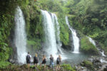 FULL DAY - TREKKING FOREST - Gambar 4