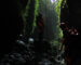 Paket Canyoning Baturraden Indonesia