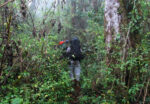Paket Pendakian Gunung Slamet Jalur Baturraden