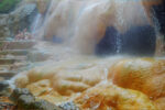 FULL DAY - TREKKING FOREST - Gambar 11