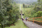 FULL DAY - TREKKING FOREST - Gambar 3