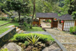 Half Day Forest Trekking Baturraden - Gambar 8