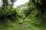 Paket Wisata Baturraden Custom Trip