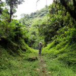 Paket Wisata Baturraden Custom Trip