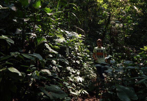 Paket Forest Trekking dan Forest Bathing Baturraden