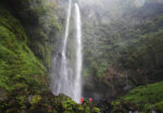 Paket Forest Trekking dan Forest Bathing Baturraden