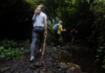 Paket Forest Trekking dan Forest Bathing Baturraden