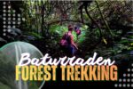 FULL DAY - TREKKING FOREST