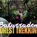 FULL DAY - TREKKING FOREST