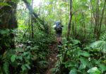 Paket Camping Gunung Slamet 2D1N - Gambar 2