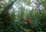 PAKET CAMPING GUNUNG SLAMET BATURRADEN