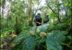PAKET CAMPING GUNUNG SLAMET BATURRADEN
