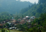 Paket Forest Trekking dan Forest Bathing Baturraden