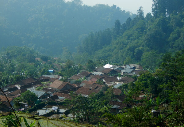 Paket Forest Trekking dan Forest Bathing Baturraden