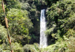 Paket Forest Trekking dan Forest Bathing Baturraden
