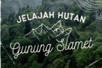 Paket Forest Trekking Gunung Slamet via Baturraden