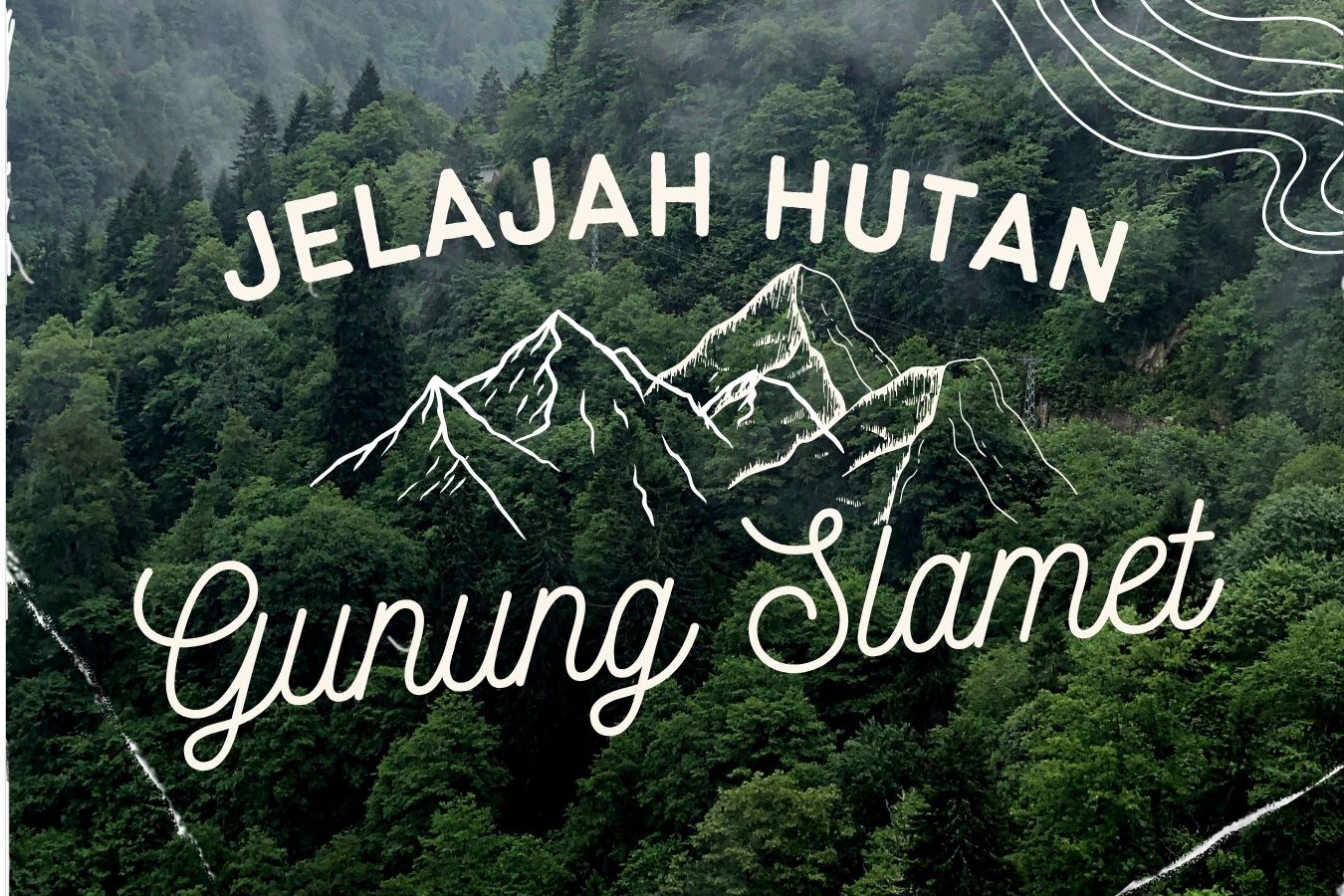 Paket Forest Trekking Gunung Slamet via Baturraden Paket Forest Trekking Gunung Slamet via Baturraden